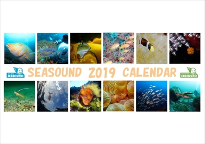 2019calendar_R.jpg