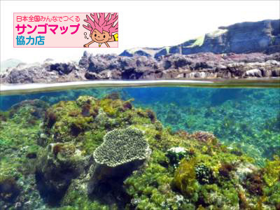 トウシキ160603b_R.jpg