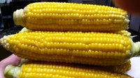 IMG00100.jpg