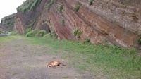 IMG00130.jpg