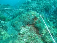 IMG_8886_R.JPG