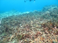 IMG_9733_R.JPG