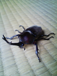 20100707083045.jpg
