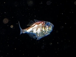 20181209d_R_R.jpg