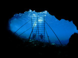 41187744_Unknown.jpg