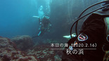 本日の海20200216.jpg