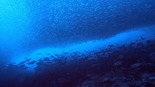 本日の海20200224.jpg