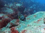 GOPR1718.jpg