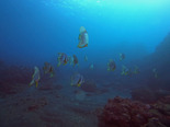 GOPR1770.jpg