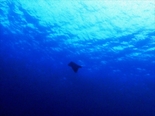 IMG_3738_R.jpg