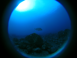 IMG_4567.png