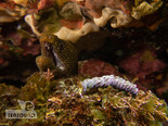 IMG_5792のコピー.jpg