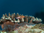 IMG_7816.jpg