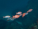 IMG_7822.jpg