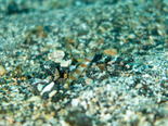IMG_7855.jpg